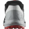 Salomon Sense Ride 4 - Men's